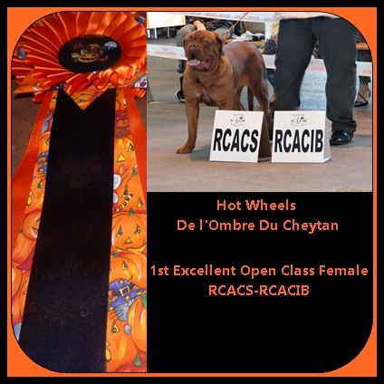 de l'ombre du cheytan - Hot Wheels RCACS-RCACIB à l'exposition de Metz !!!