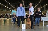  - Lacey 1ère Très prometteur Meilleur Puppy à Rotterdam !!!!