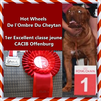 de l'ombre du cheytan - Hot Wheels De l'Ombre Du Cheytan 1 ère Excellent !!!