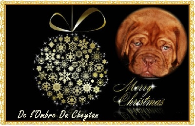 de l'ombre du cheytan - Bonne fêtes de fin d'année à tous !!!!