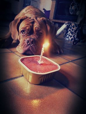 de l'ombre du cheytan - Joyeux anniversaire aux Cheytan " I" déjà 1 an !!!!